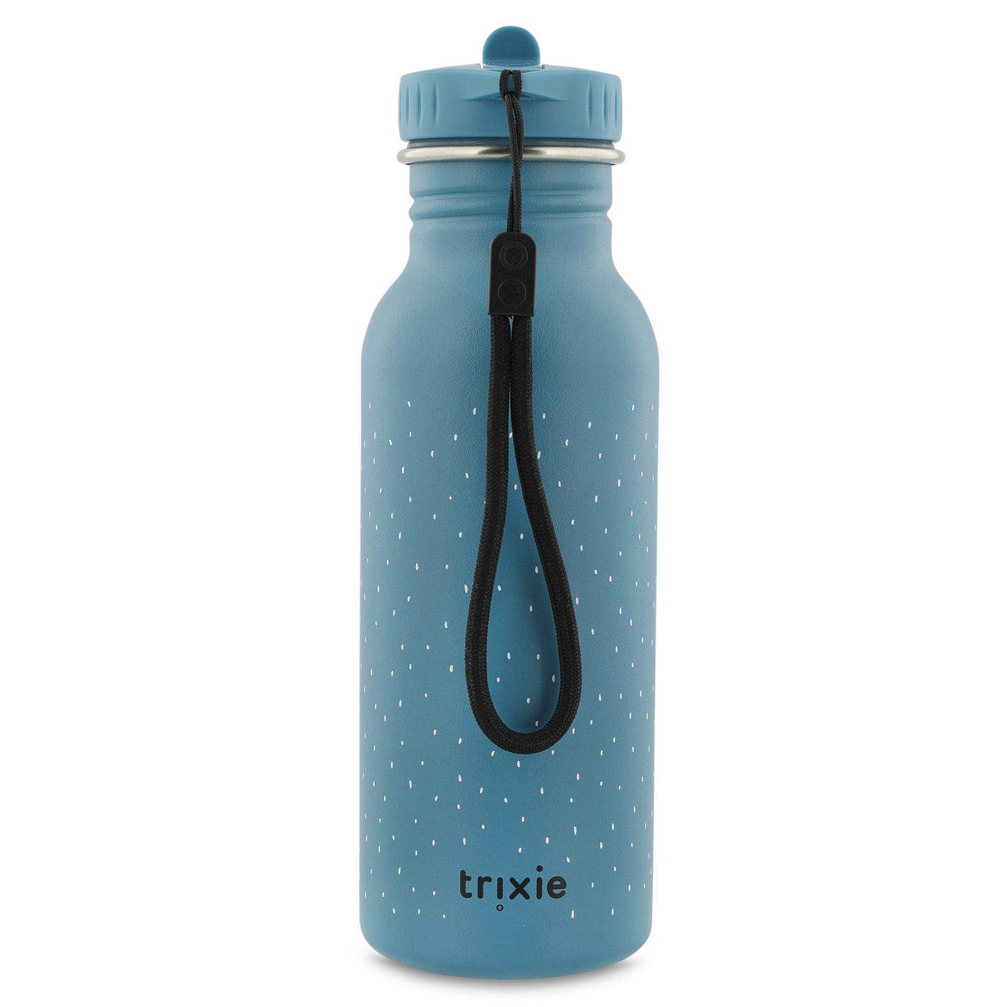 Mr Triceratops water bottle 500ml