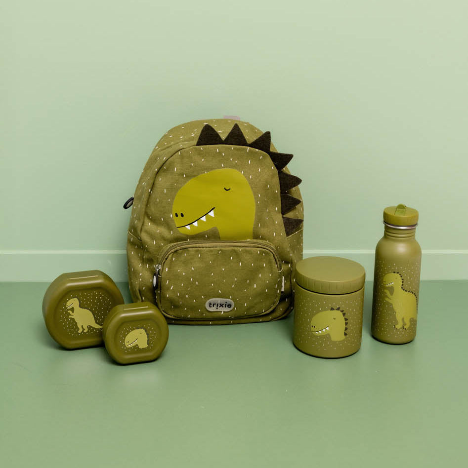Dinosaur-themed backpack and accessories on a green surface with a light green background