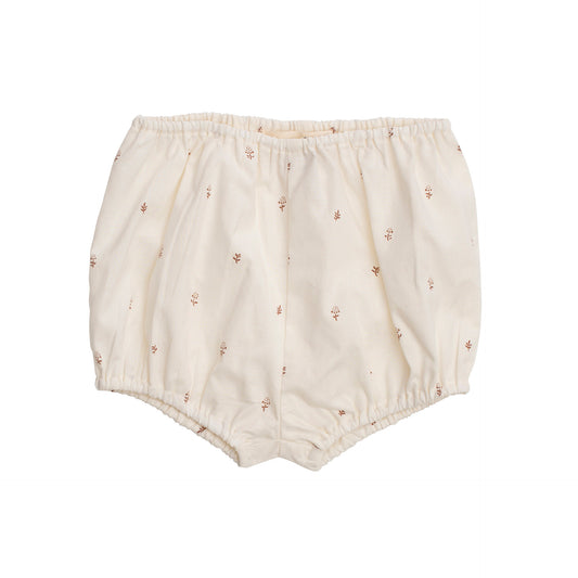 Serendipity Baby bloomers -Aster