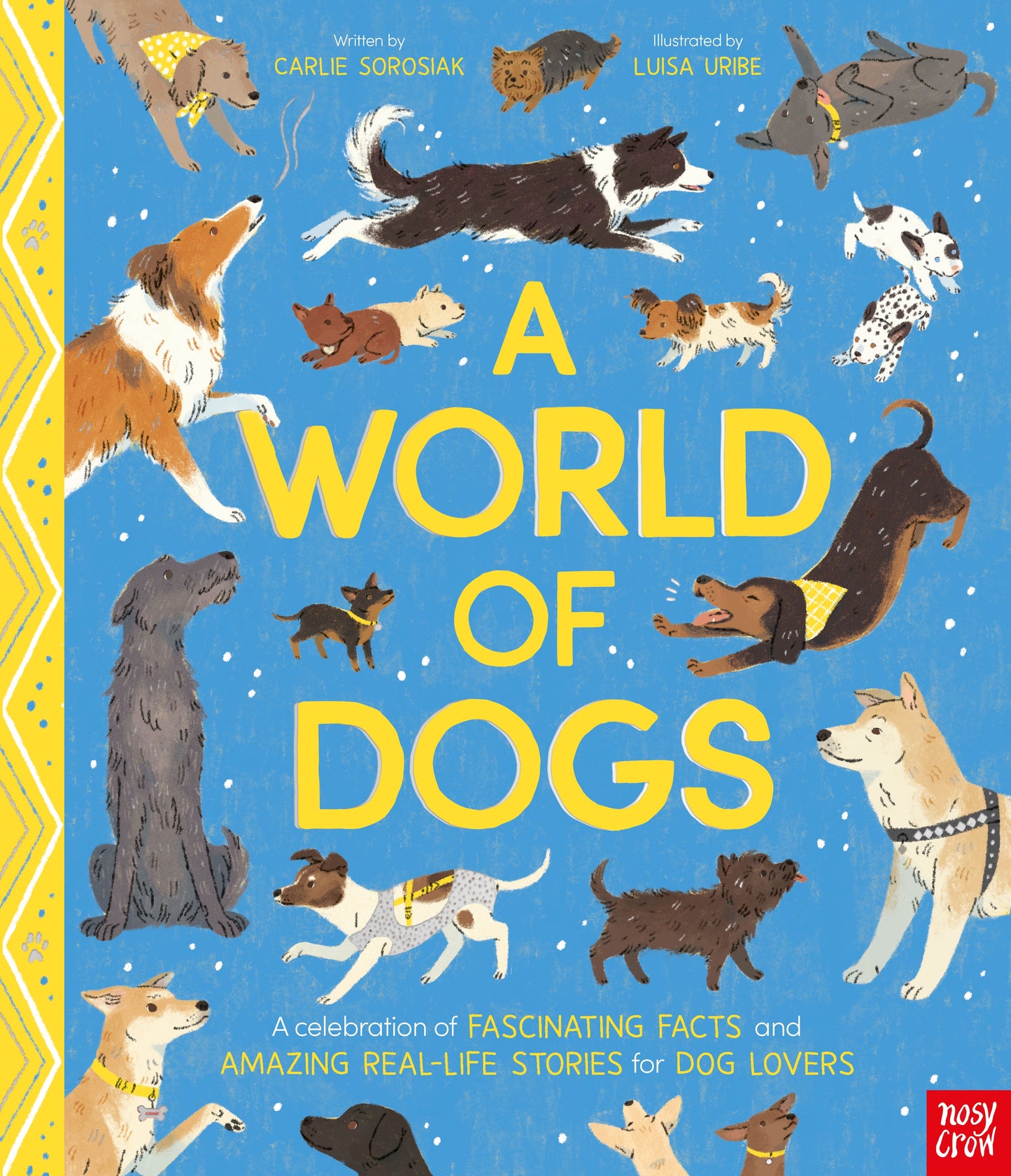 A world of dogs fascinating facts of dogs