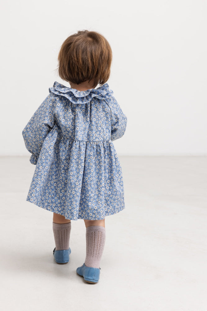 A toddler viewed from behind wearing a blue and white floral print dress with a ruffled collar, light pink knit socks, and blue shoes, standing against a plain white studio background.