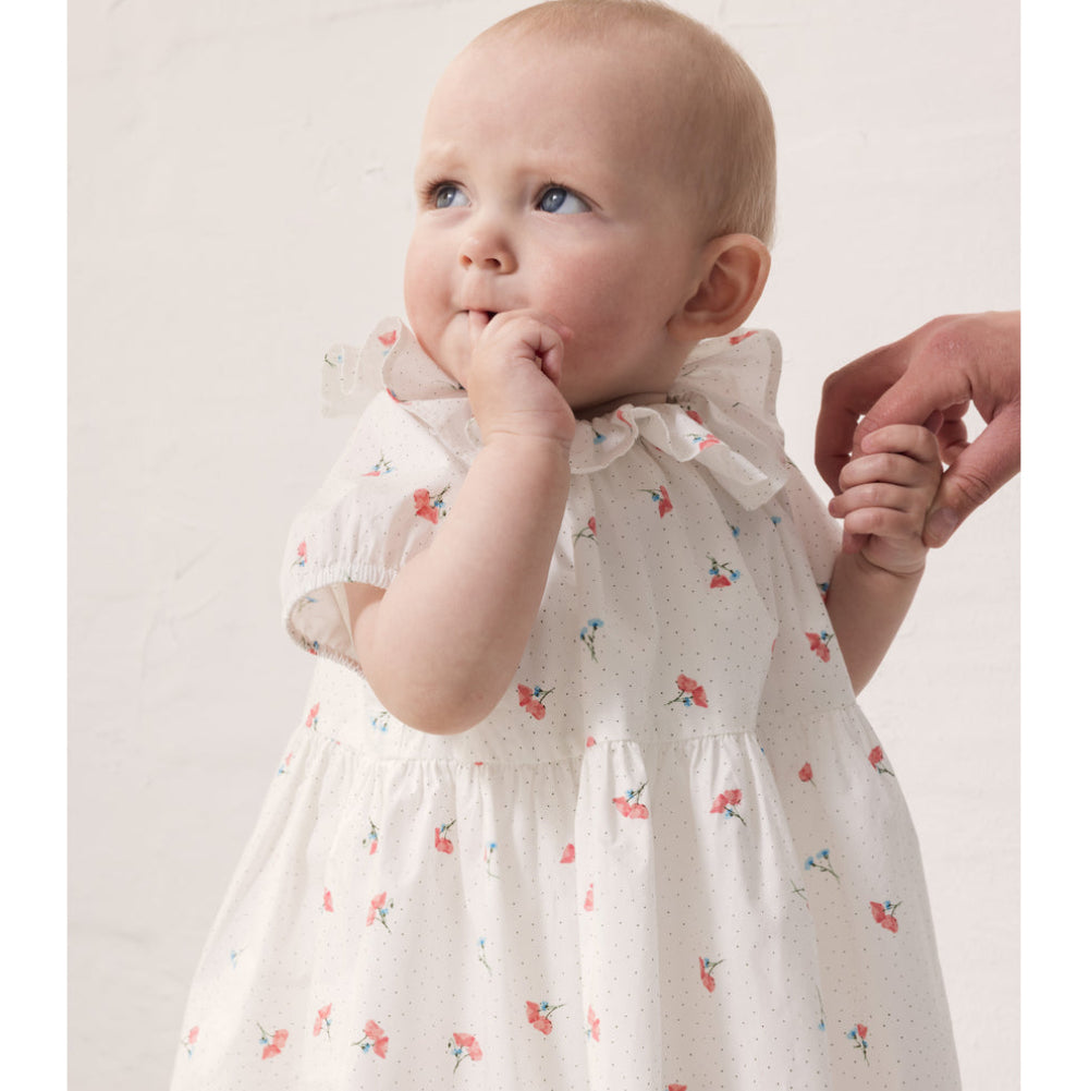 Baby in a floral dress with a plain background
