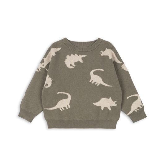 Children's sweater with dinosaur pattern on a white background