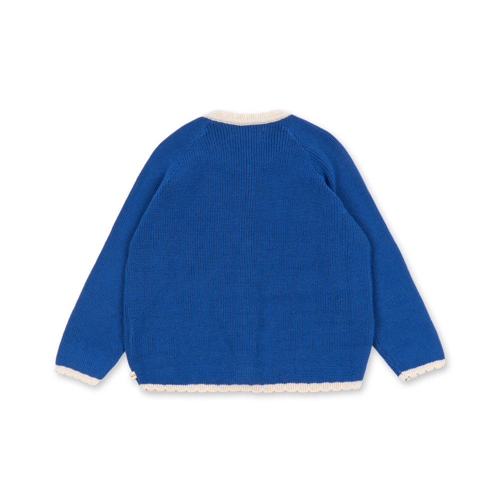 A royal blue knit sweater shown from the back, featuring cream-colored ribbed trim along the collar, cuffs, and hem.