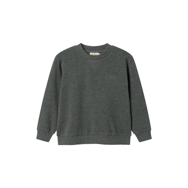 Gray sweatshirt on a white background