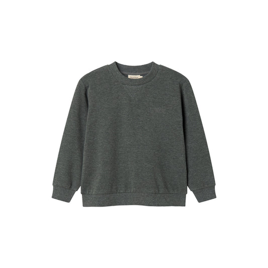 Gray sweatshirt on a white background