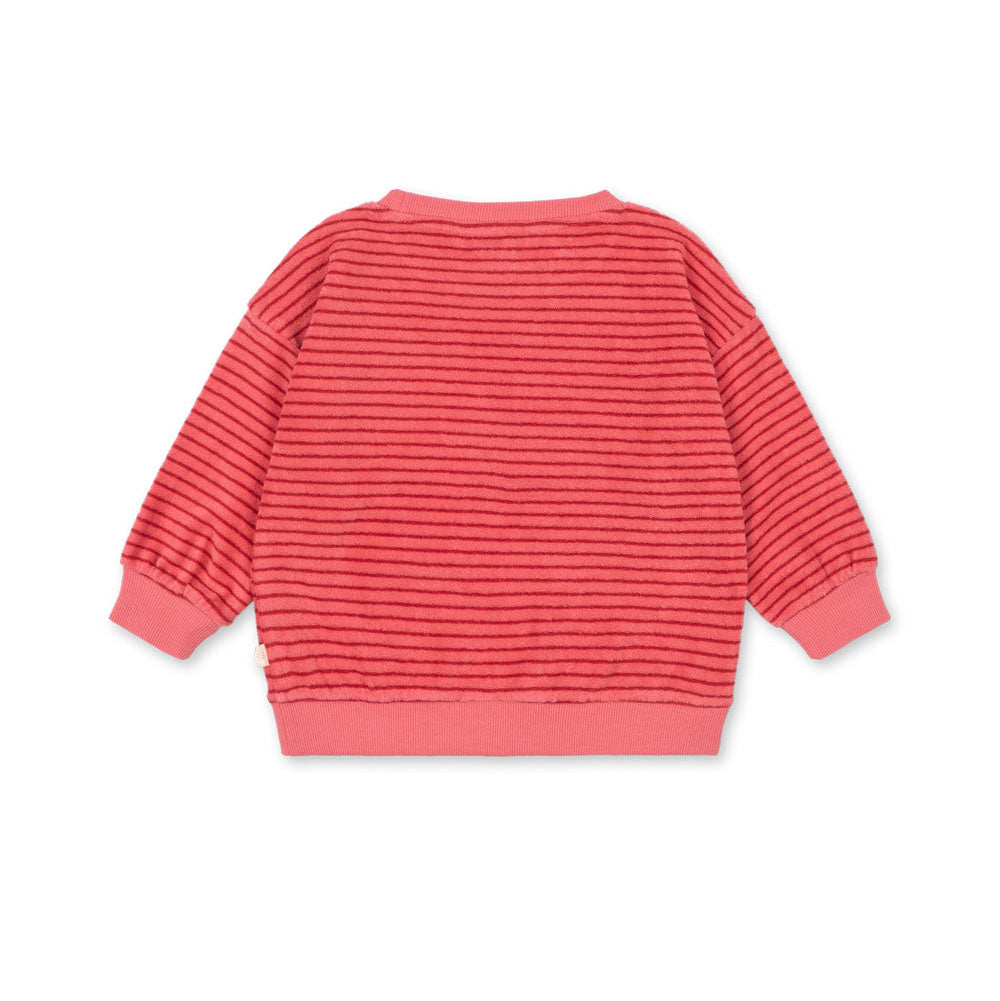 Pink striped sweater on a white background