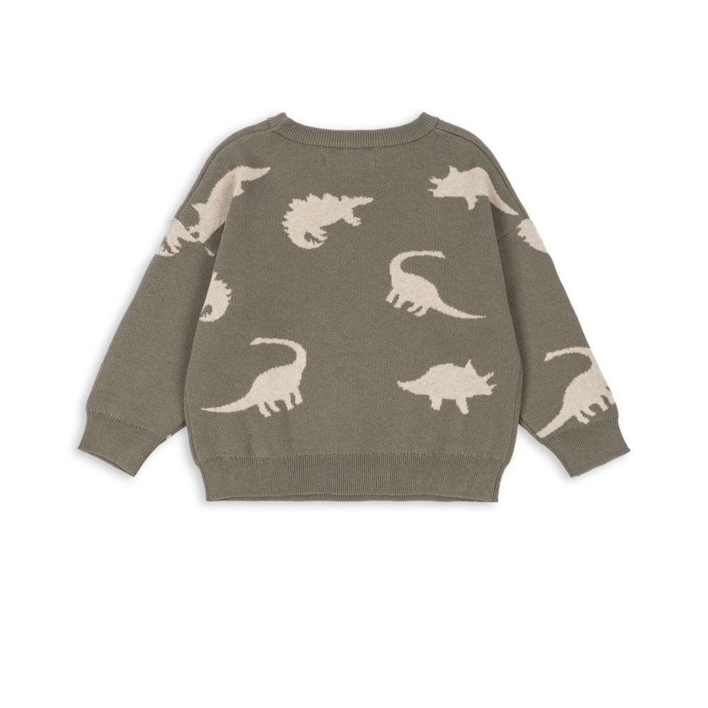 Children's sweater with dinosaur pattern on a white background