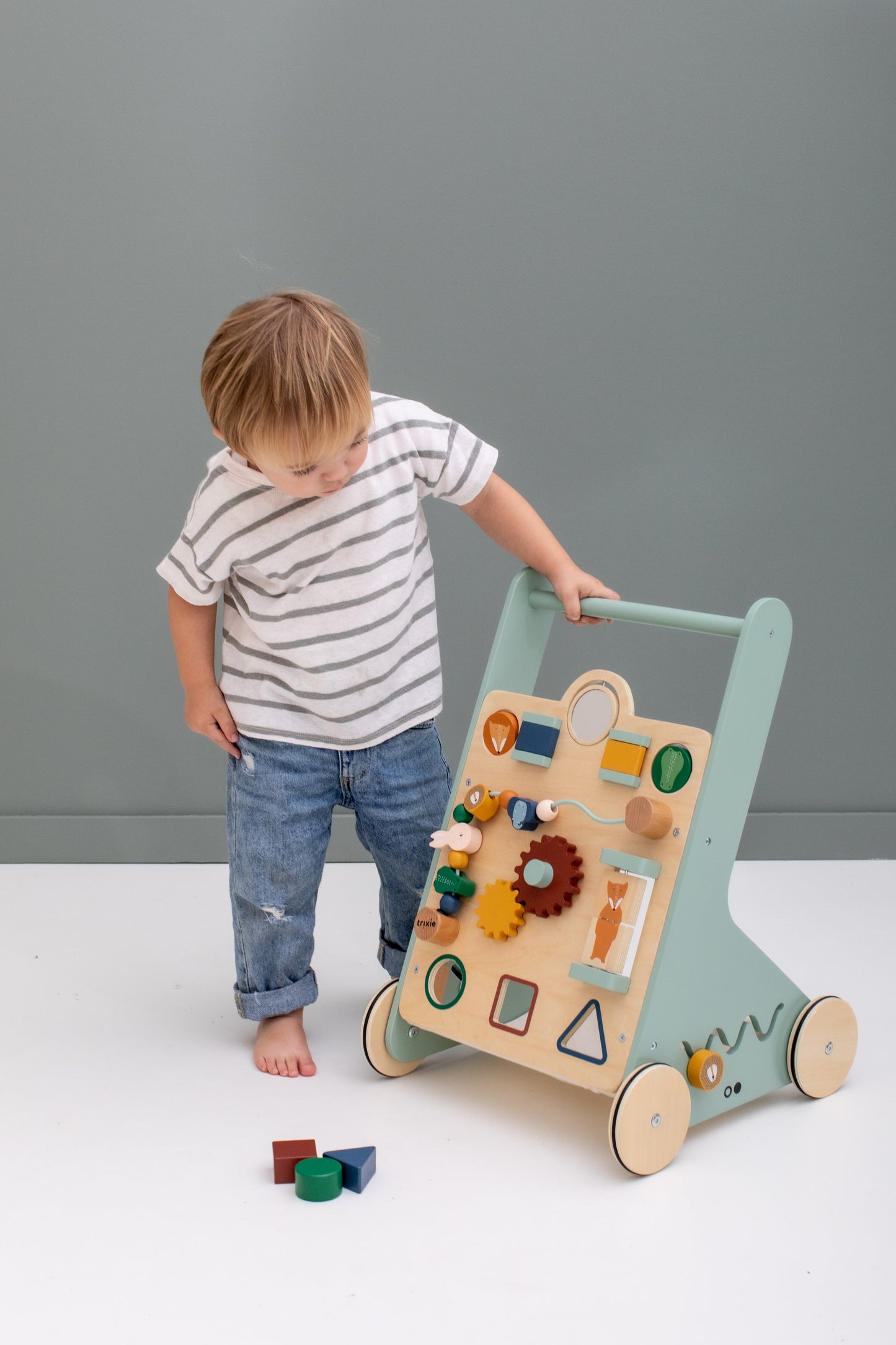 Trixie animal activity walker