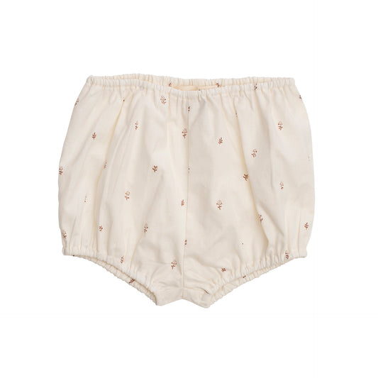 Serendipity  Baby bloomers -Aster 